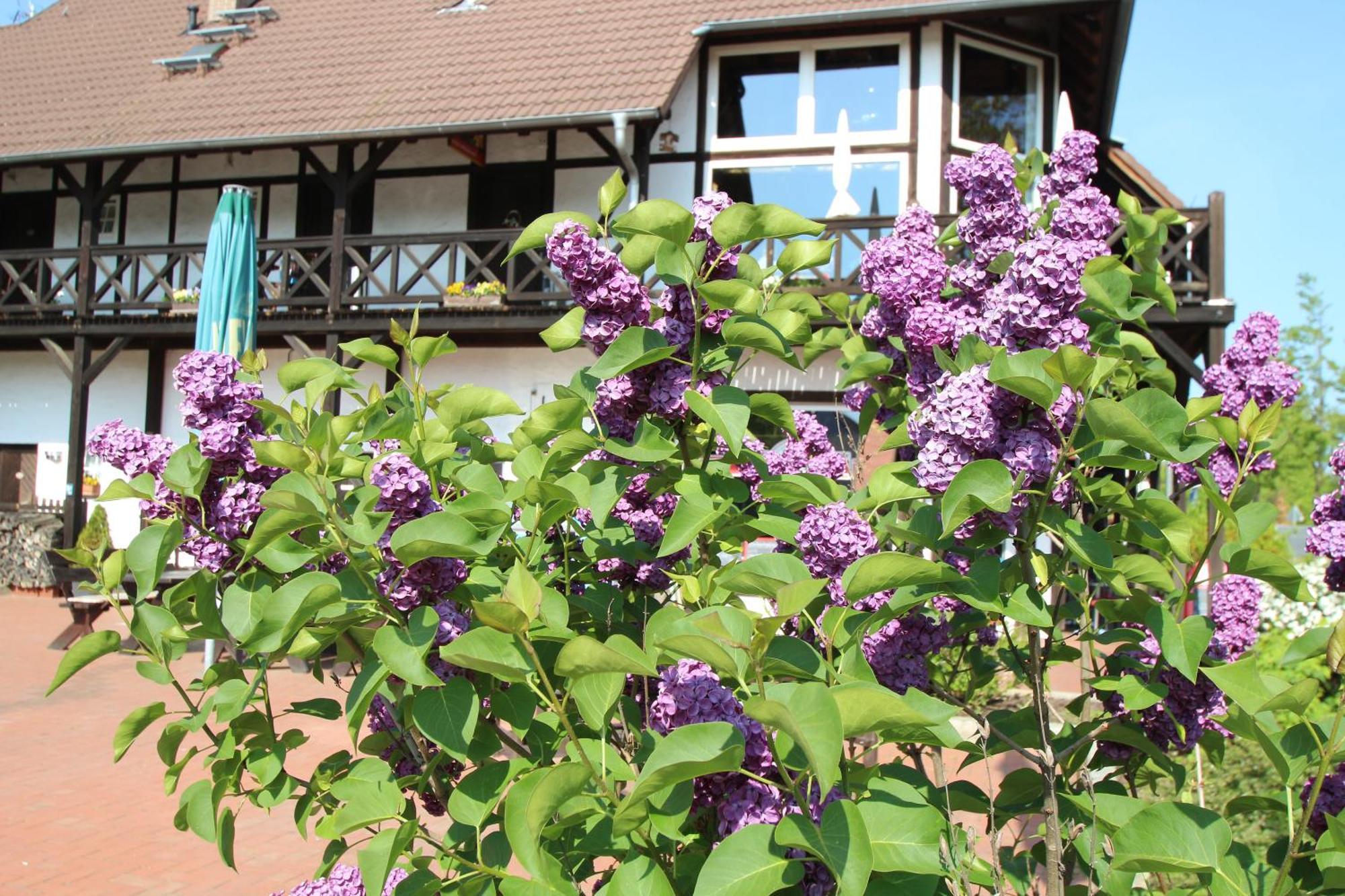 Die Radler-Scheune Hotel Burg  Exterior photo